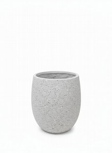 ���� ����� �������� ���