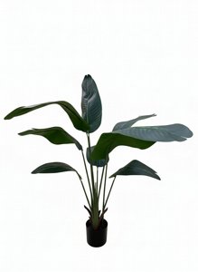 ���� ���� 120 ��