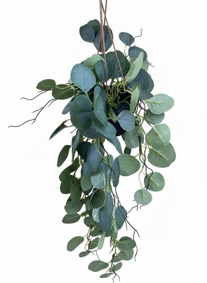 ��� ���� ���� ������ ��� ����� 1