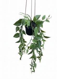 ��� ���� ���� ������ ��� ����� 3