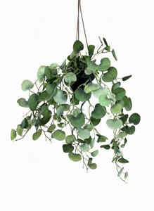 ��� ���� ���� ������ ��� ����� 4