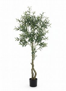 �� ��� 150 �"�