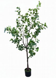 עץ פיקוס 1.6 מטר עץ פיקוס 1.6 מטר