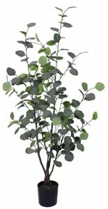 ���� �������� 120 �� ��� 1811-4