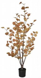עציץ אקליפטוס צהוב 120 סמ דגם 1811-4 עציץ אקליפטוס צהוב 120 סמ דגם 1811-4