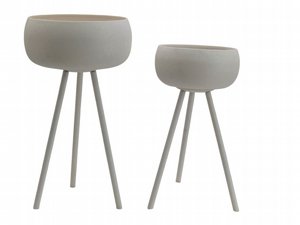 ���� ���� ��� ����� ���� ���