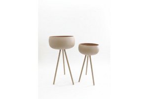 ���� ���� ��� ����� ��� ���